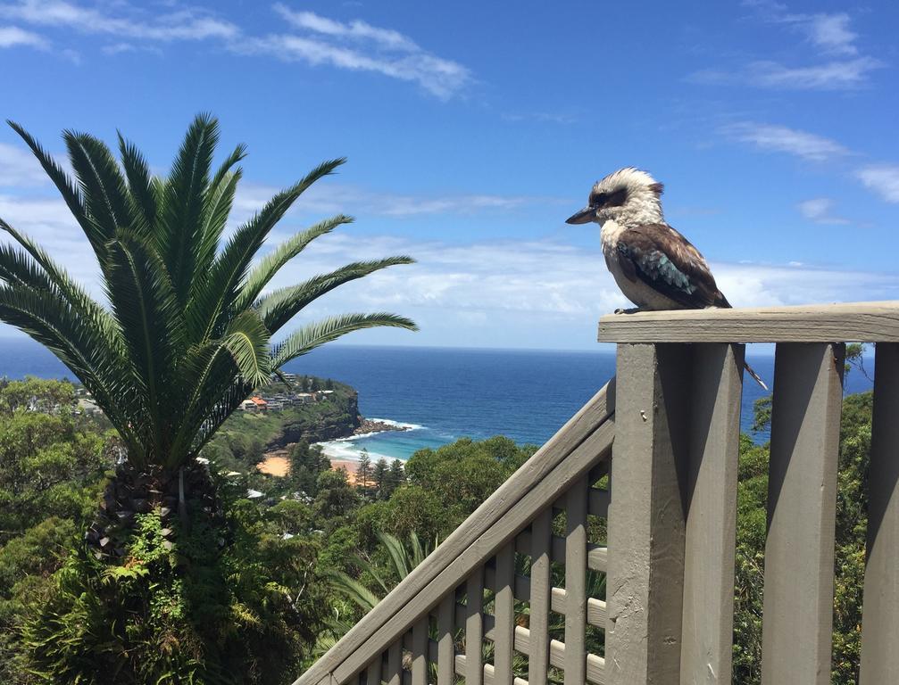 Avalon Horizons Apartment Bilgola Екстериор снимка